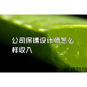 公司保鏢設(shè)計(jì)師怎么樣收入