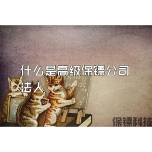 什么是高級保鏢公司法人