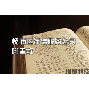 楊浦區保鏢服務公司哪里好
