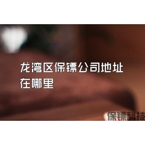 龍灣區保鏢公司地址在哪里