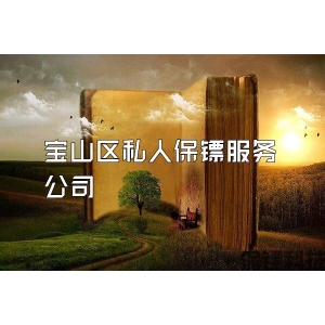 寶山區私人保鏢服務公司