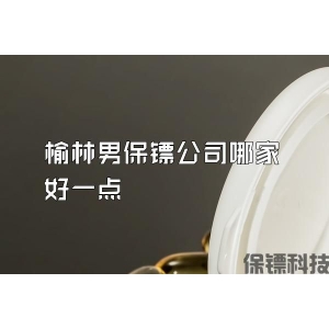榆林男保鏢公司哪家好一點