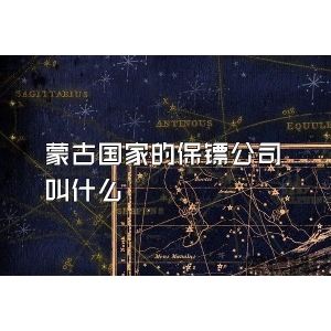 蒙古國家的保鏢公司叫什么
