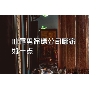 汕尾男保鏢公司哪家好一點