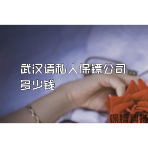 武漢請私人保鏢公司多少錢