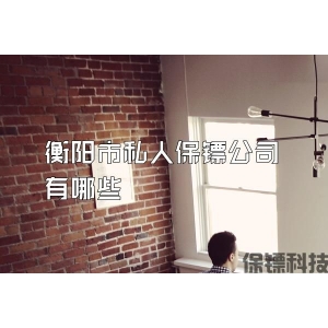 衡陽市私人保鏢公司有哪些