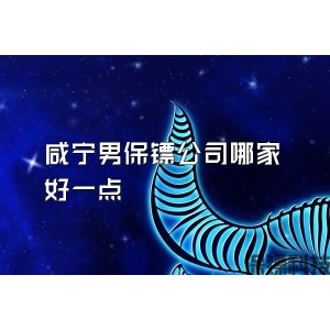 咸寧男保鏢公司哪家好一點