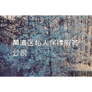 黃浦區私人保鏢服務公司