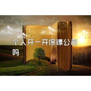 個人開一開保鏢公司嗎