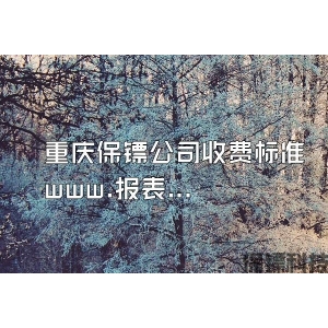 重慶保鏢公司收費標準 www.報表.cc