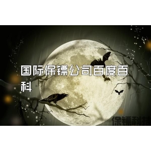國際保鏢公司百度百科