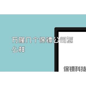 萬隆幾個保鏢公司怎么樣