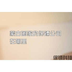 蒙古國家的保鏢公司在哪里