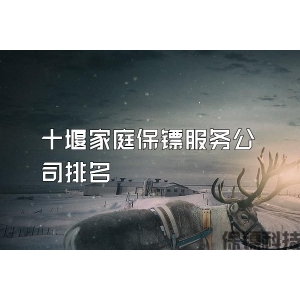 十堰家庭保鏢服務公司排名