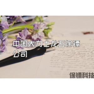 中國(guó)大力士龍五保鏢公司