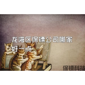 龍灣區(qū)保鏢公司哪家好一點(diǎn)
