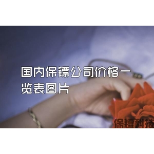 國內保鏢公司價格一覽表圖片