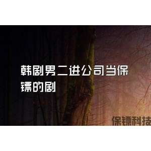 韓劇男二進公司當保鏢的劇