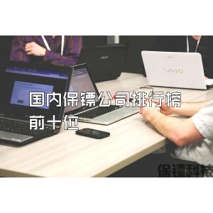 國內保鏢公司排行榜前十位