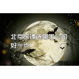 北京保鏢選哪家公司好一點(diǎn)