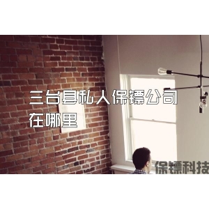三臺縣私人保鏢公司在哪里