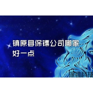 鎮原縣保鏢公司哪家好一點
