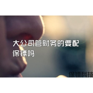 大公司管財務的要配保鏢嗎