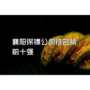 襄陽保鏢公司排名榜前十強