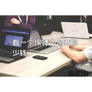 看一個保鏢公司要多少錢