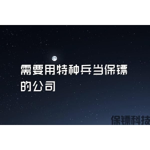 需要用特種兵當保鏢的公司