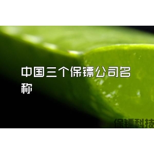 中國(guó)三個(gè)保鏢公司名稱