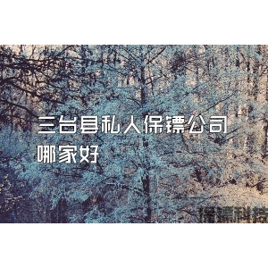 三臺(tái)縣私人保鏢公司哪家好